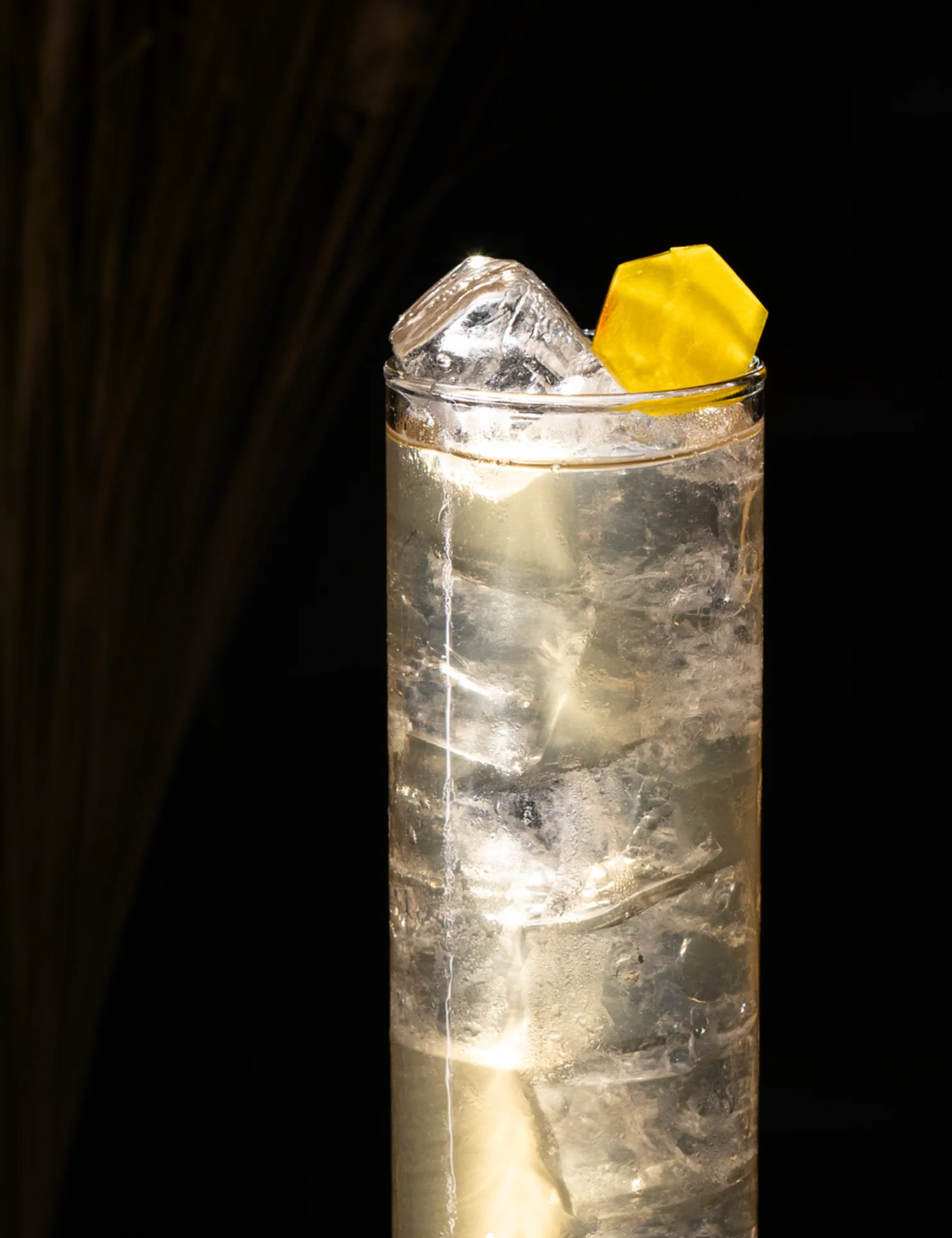 DrinkEnjoyCocktail8
